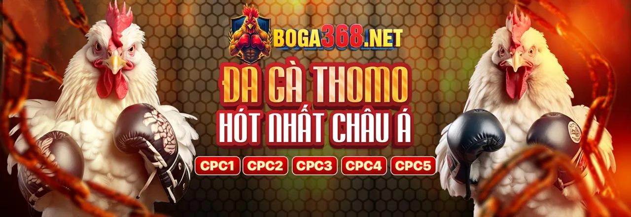 Hình ảnh chính về các khuyến mãi hấp dẫn của we88 app